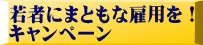 若者にまともな雇用を！ キャンペーン